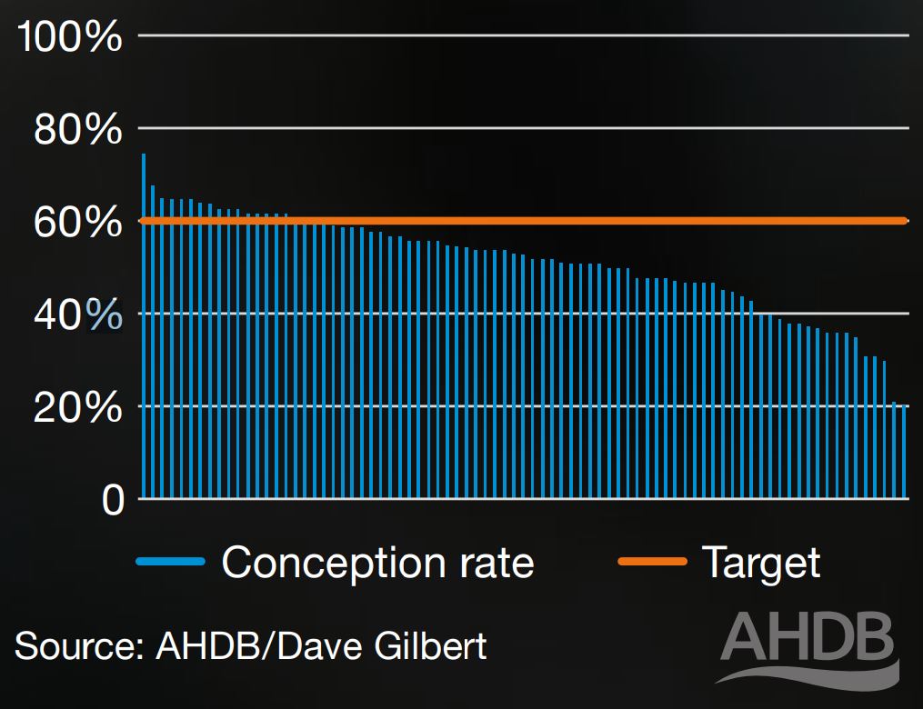 Figure 2. Conception rate